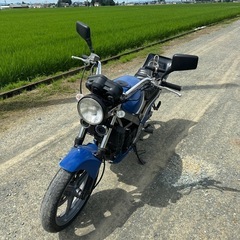 vtz250の画像