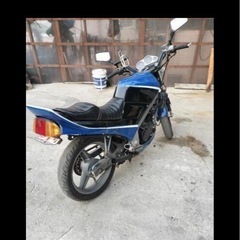 vtz250の画像