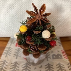 ミニクリスマスツリー🎄の画像