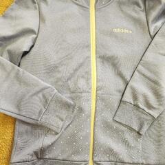 決まりました【adidas   セットアップ   レディース】の画像