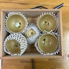 中島 正雄　雅山窯　黄瀬戸　湯呑み　共箱付き 　5個セットの画像