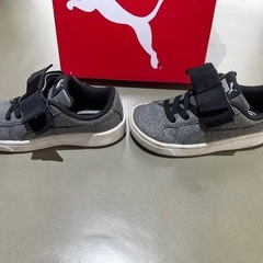 PUMA ラメ入りスニーカー 14.0cm 箱付きの画像