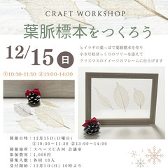 葉脈標本を作ろう