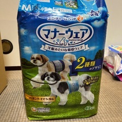 ⭐️本日限定　犬　おむつ