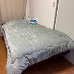 [本日中]冬布団