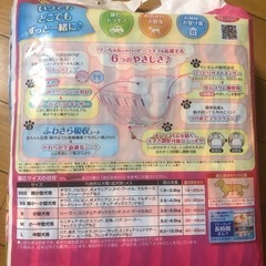 小型犬メス用　マナーウエアの画像