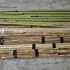 竹竿 - Bamboo poles 