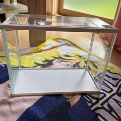 決まりました✨️水槽 美品