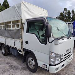 鹿児島発★いすゞ エルフ 家畜運搬車 TRG-NJR85A H2...