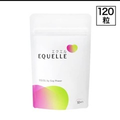 【新品未開封】エクエル パウチ エクオール 大塚製薬 120粒入り