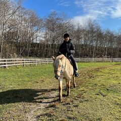 北海道の大自然で活躍してくれるガイドを募集しています！の画像