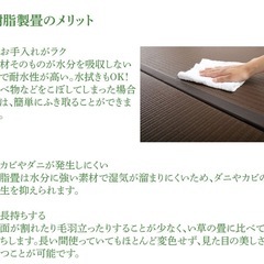 商談中　　値下げ！ ニトリ　樹脂製畳収納ユニットロータイプセット