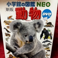 動物図鑑