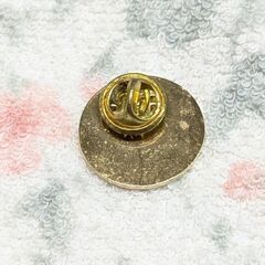 ☆ビンズ　ストックホルムピンズ　中古品　の画像