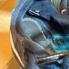 NIKE エアマックス LEBRON XVⅢの画像