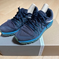 NIKE エアマックス LEBRON XVⅢ
