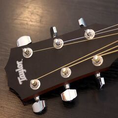 テイラー アコースティックギター Taylor 306GB の画像