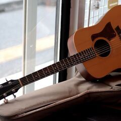 テイラー アコースティックギター Taylor 306GB の画像