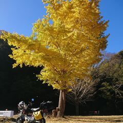 ●3月18日（火）…平日プチツーリング（原付50ccOK）九十九里～東金周辺 神社御朱印 - メンバー募集