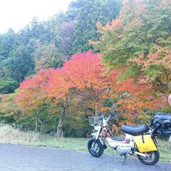 ●3月18日（火）…平日プチツーリング（原付50ccOK）九十九里～東金周辺 神社御朱印 − 千葉県