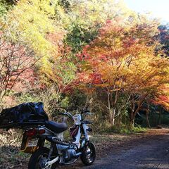 ●3月18日（火）…平日プチツーリング（原付50ccOK）九十九里～東金周辺 神社御朱印 - その他