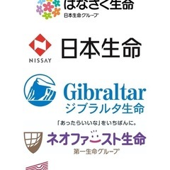 保険営業募集の画像