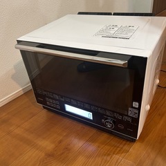 TOSHIBA  ISHIGAMA DOME