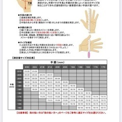 TAICHIの電熱グローブと専用バッテリーセットの画像