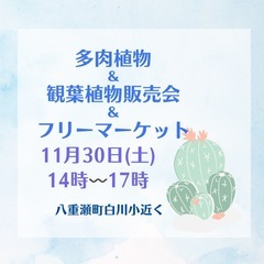 多肉植物＆フリーマーケット