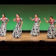 フラダンスやりましょう！の画像