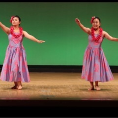 フラダンスやりましょう！の画像