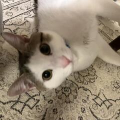 僕のずっとの家族になってください！