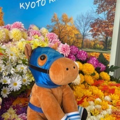 競馬仲間大募集です！今週はチャンピオンズカップ🏇 − 東京都