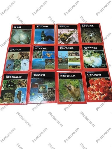 海の生物と生態に関する本12冊セット　新品