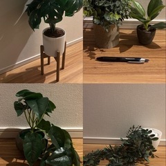 人口観葉植物 フェイクグリーン