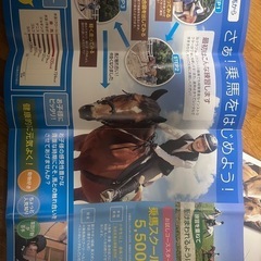 有効期間今月中 乗馬試乗会ご招待券×2の画像
