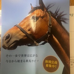 有効期間今月中 乗馬試乗会ご招待券×2の画像