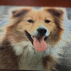 パズル　ハンサム　パピー　300ピース　犬　ペットの画像