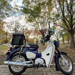 スーパーカブ50プロ クロスカブ顔　現状渡しの画像