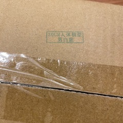 男性 人体モデル 人体模型 11インチ 約30cm 人体筋肉模型 解剖模型 樹脂 筋骨格解剖学の画像
