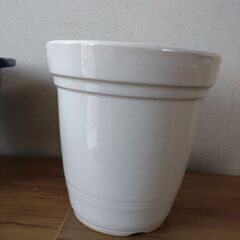 ☆☆　植木鉢　陶器鉢　白　花びん　多肉植物　ガーデニング　盆栽　☆の画像