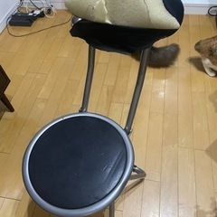11/29迄！パイプ椅子
