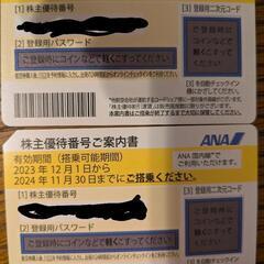 ANA 株主優待券2枚 有効期限2024/11/30