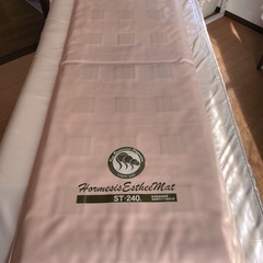 寝ている間にダイエット！ホルミシスエスティマット 
