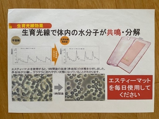 寝ている間にダイエット！ホルミシスエスティマット 