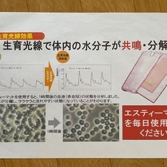 寝ている間にダイエット！ホルミシスエスティマット の画像