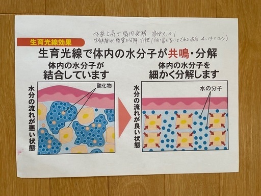 寝ている間にダイエット！ホルミシスエスティマット 