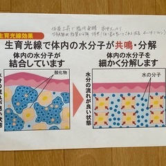 寝ている間にダイエット！ホルミシスエスティマット の画像