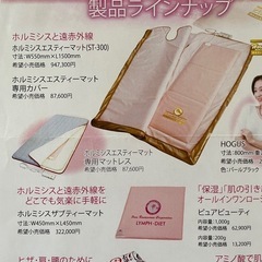 寝ている間にダイエット！ホルミシスエスティマット の画像