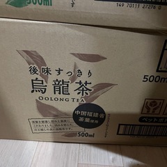 烏龍茶500ml×24本